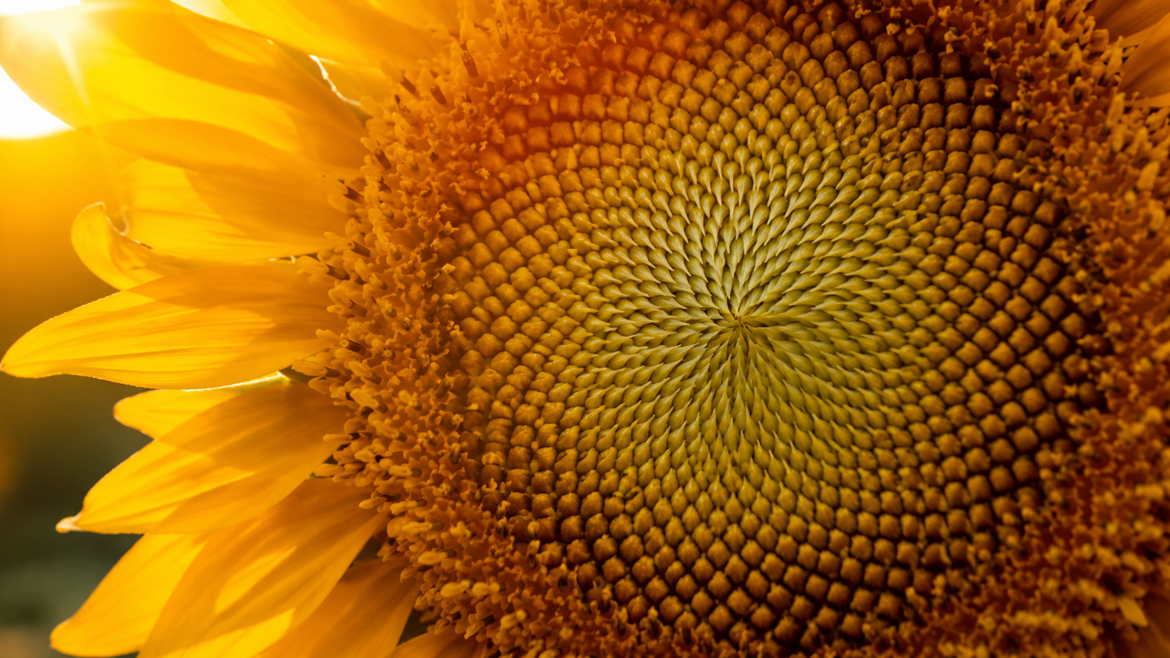 Math Beauty: Hidden Patterns